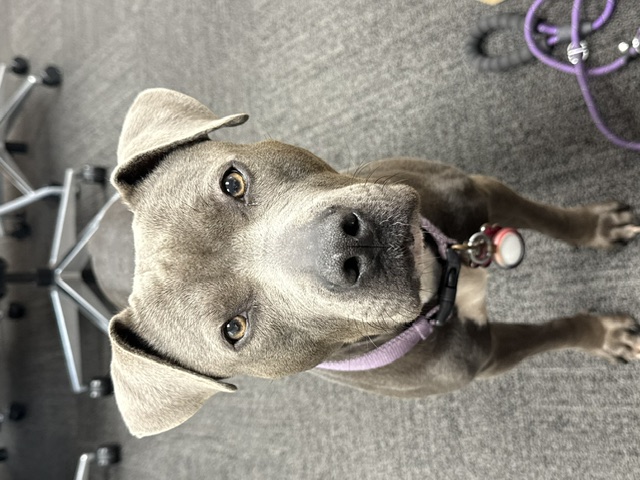 Rosie