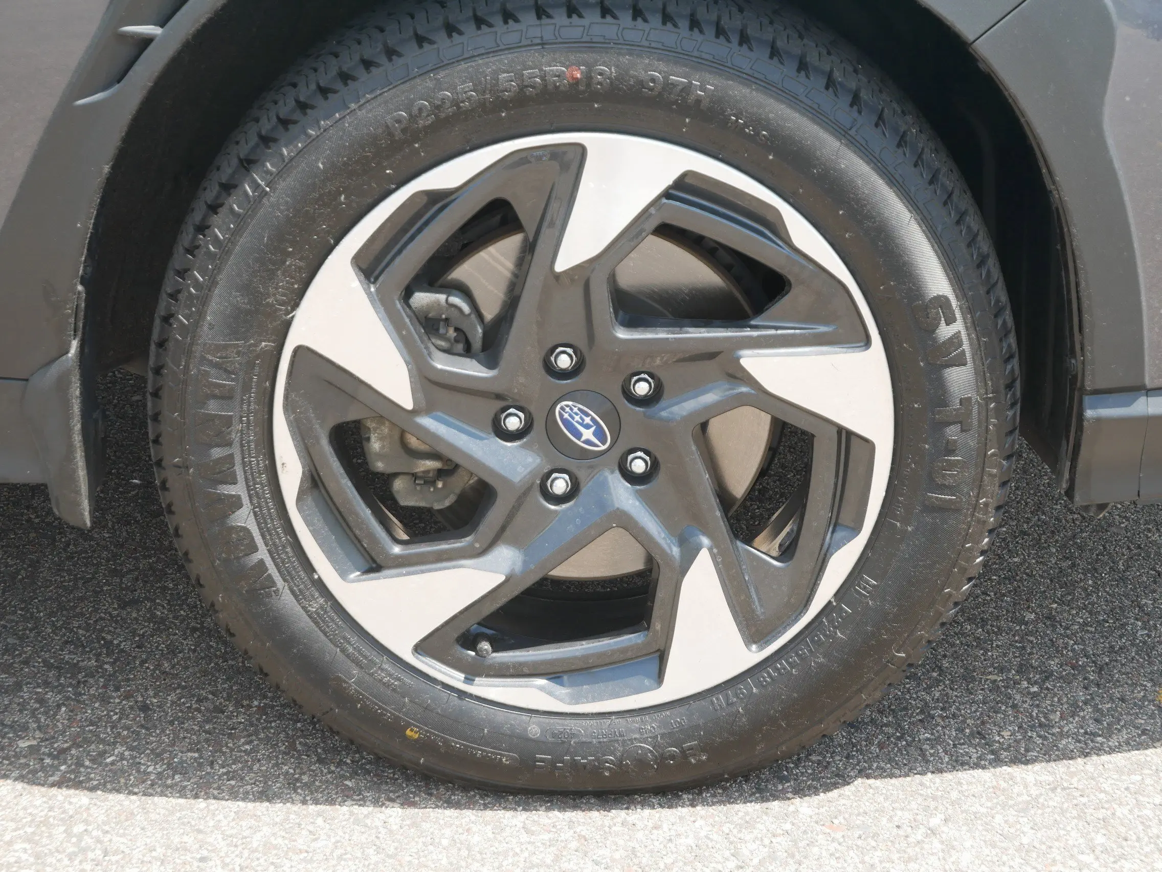 image-8