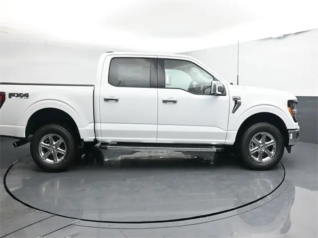 image-14