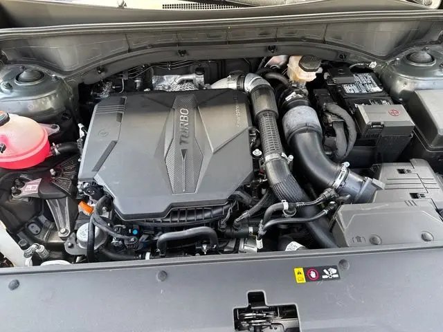 image-15