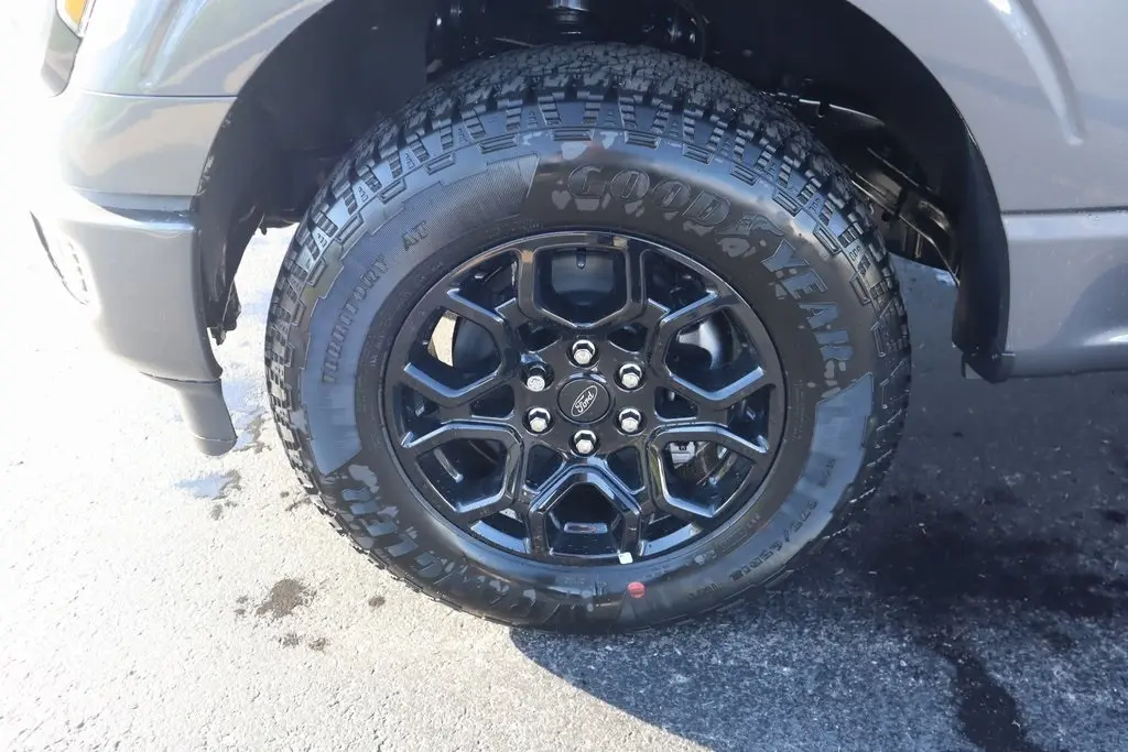 2025 Ford F-150 STX photo 16