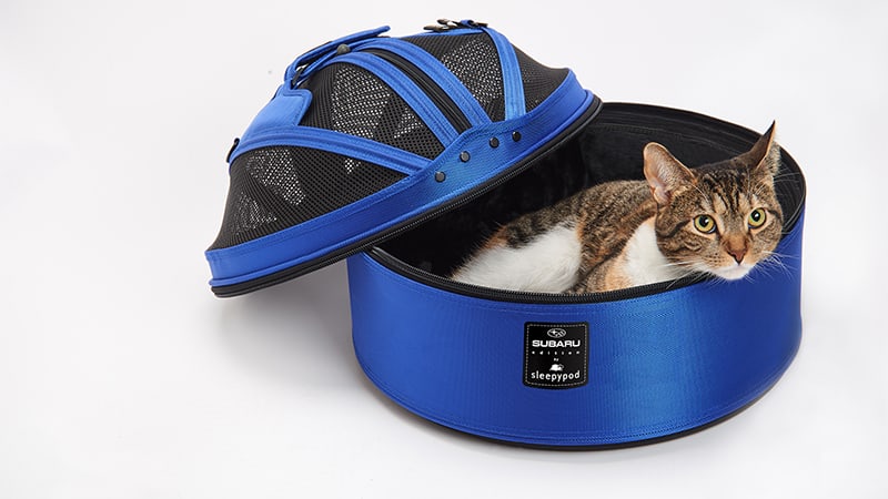 Cat laying in pet carrier and mobile bed
