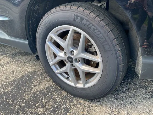 image-6
