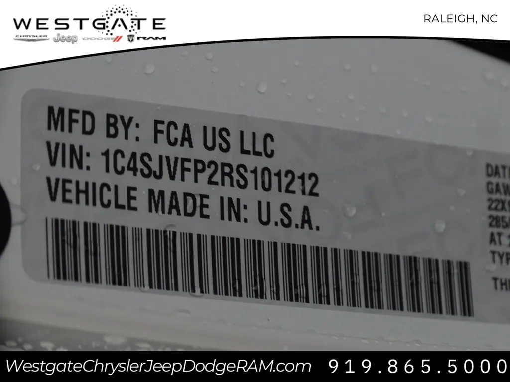 image-19