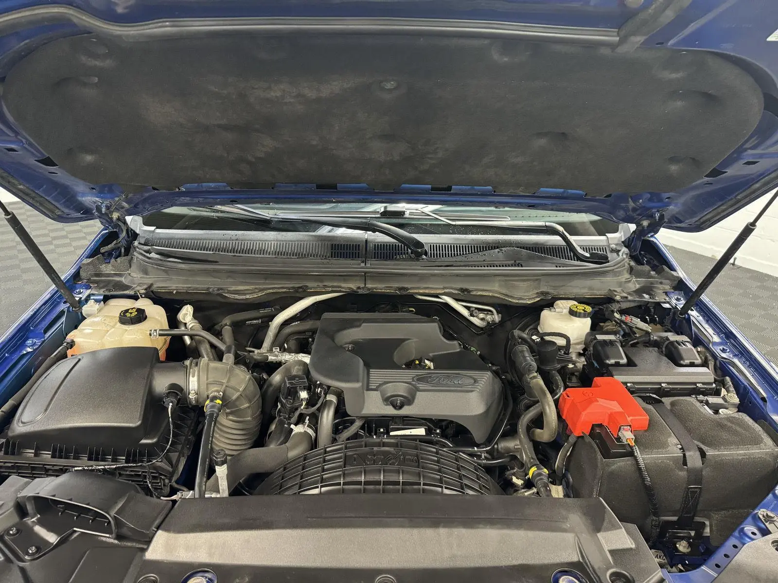 image-10