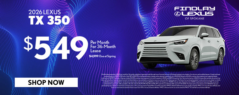 2026 New Lexus TX Special