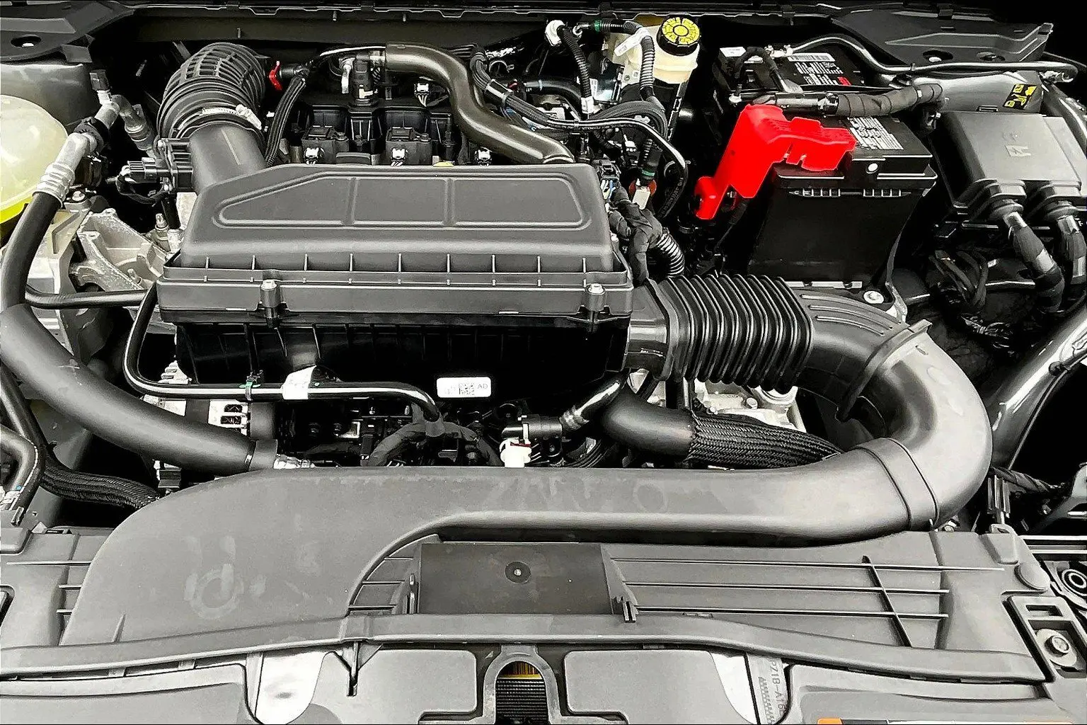 image-10