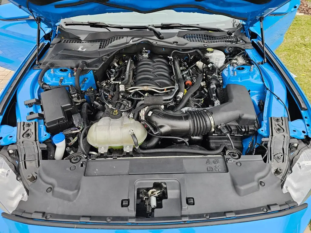 image-19