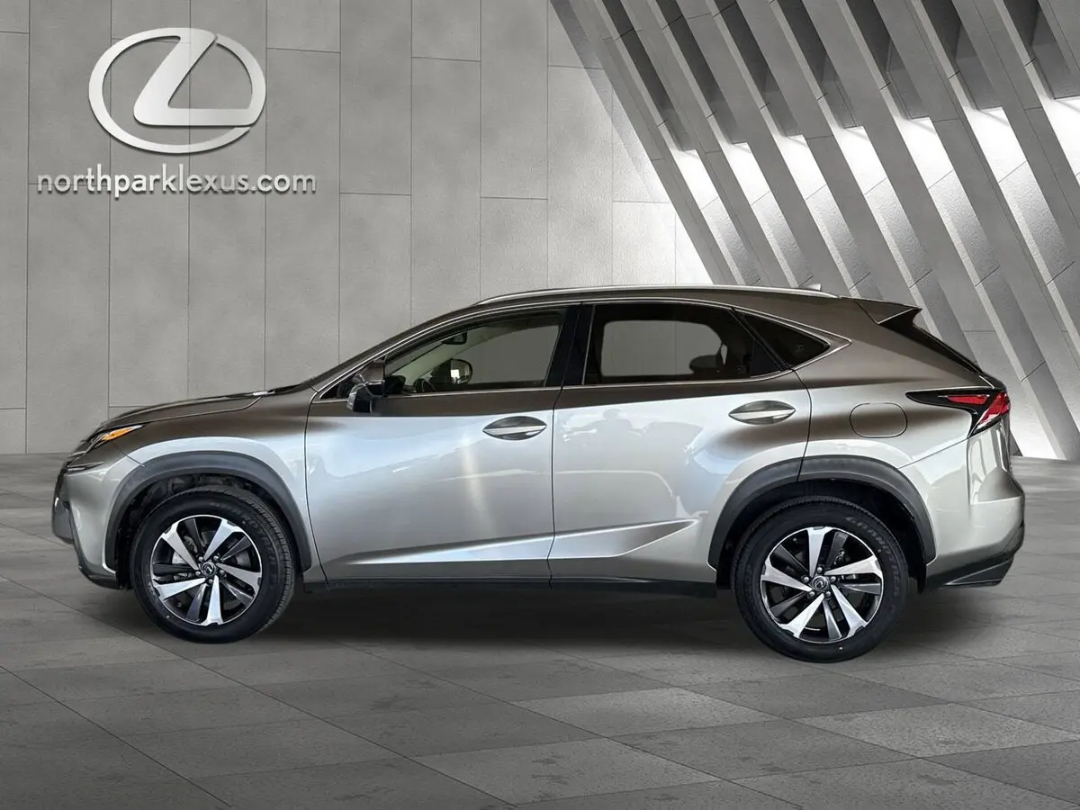 2020 Lexus NX 300's photo