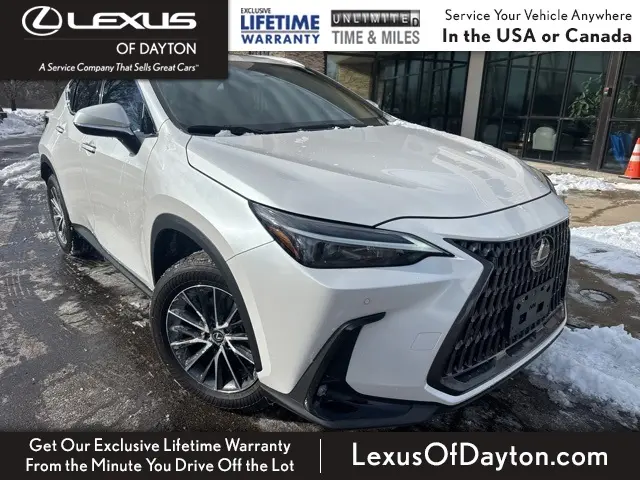 2025 Lexus NX 350's photo