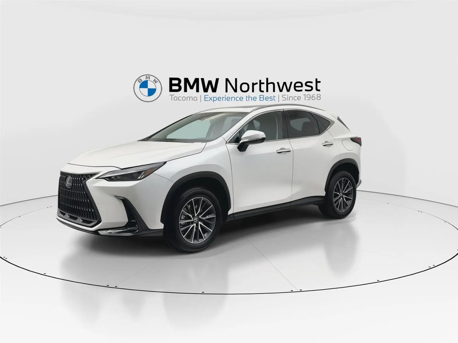 2022 Lexus NX 350 photo 8