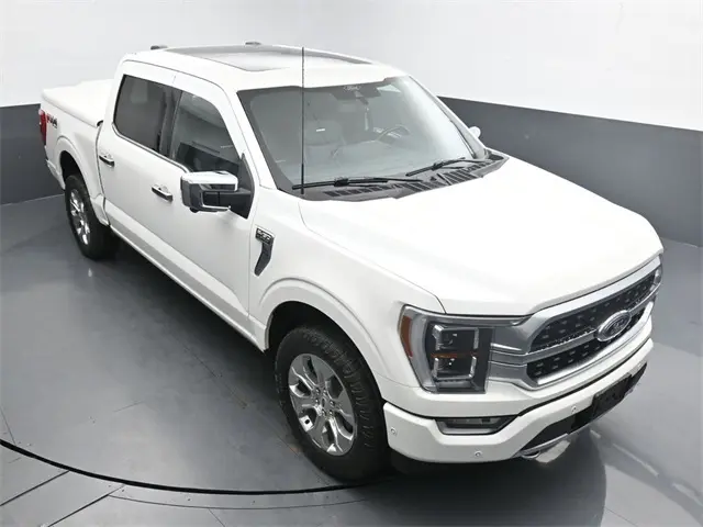 image-19
