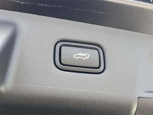 image-19