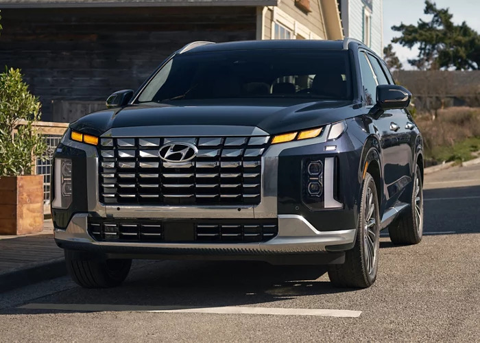 A Hyundai Palisade sitting parked.