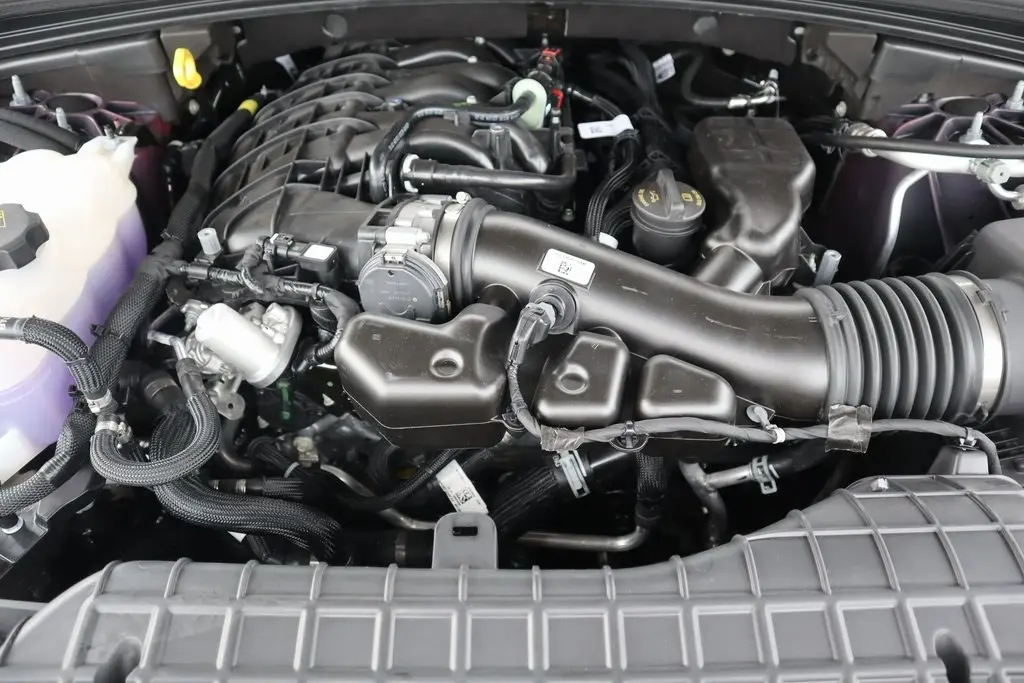 image-19