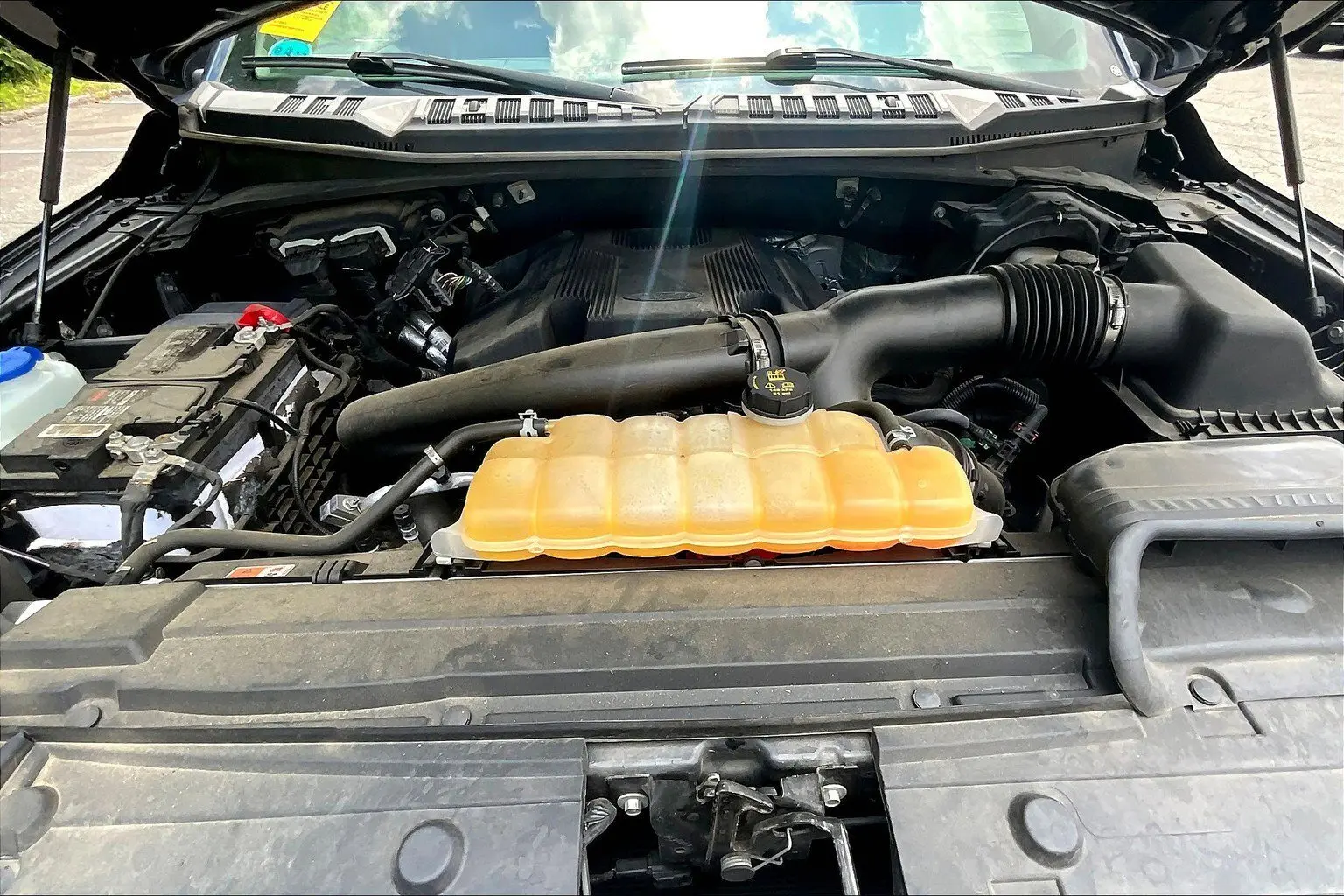 image-12