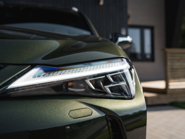 2019 UX in Nori Green