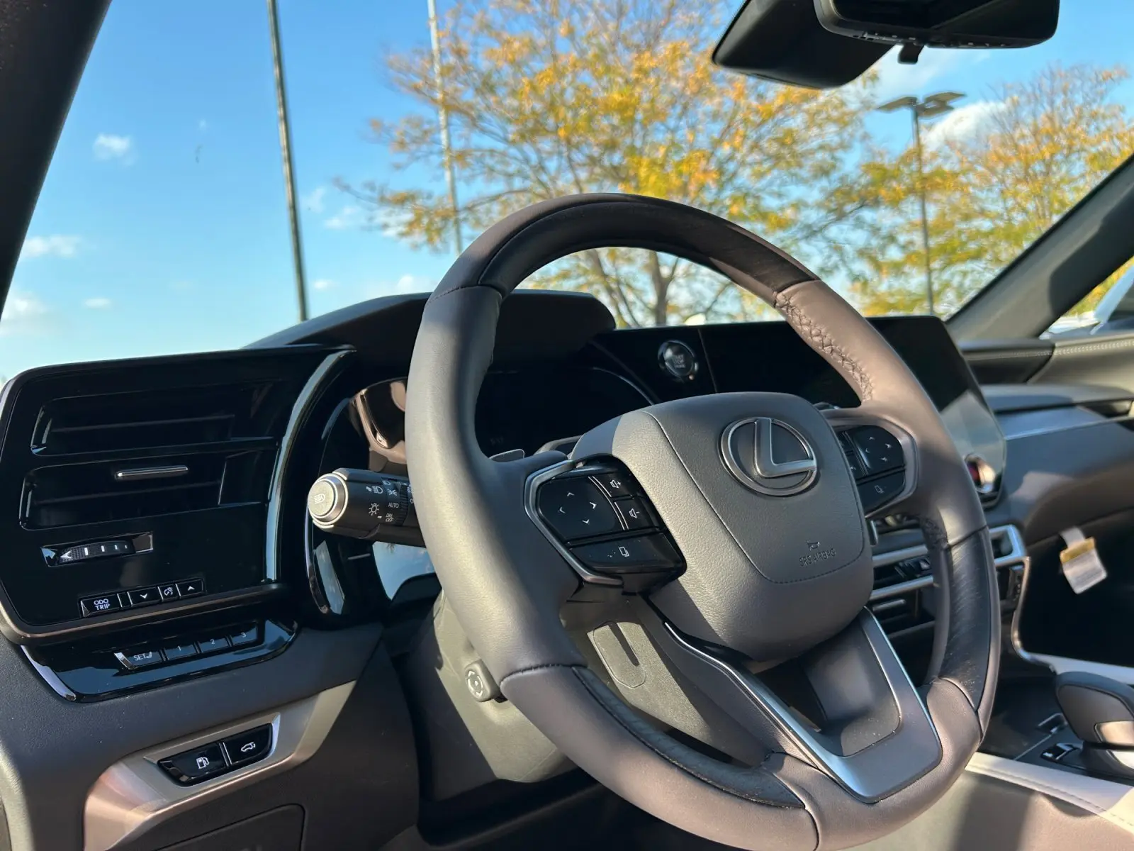 2025 Lexus RX 350 Premium AWD photo 19