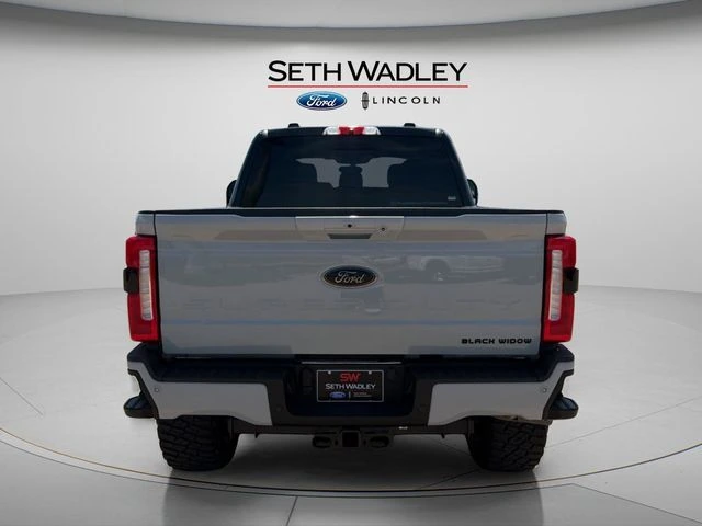2025 Ford — photo 6