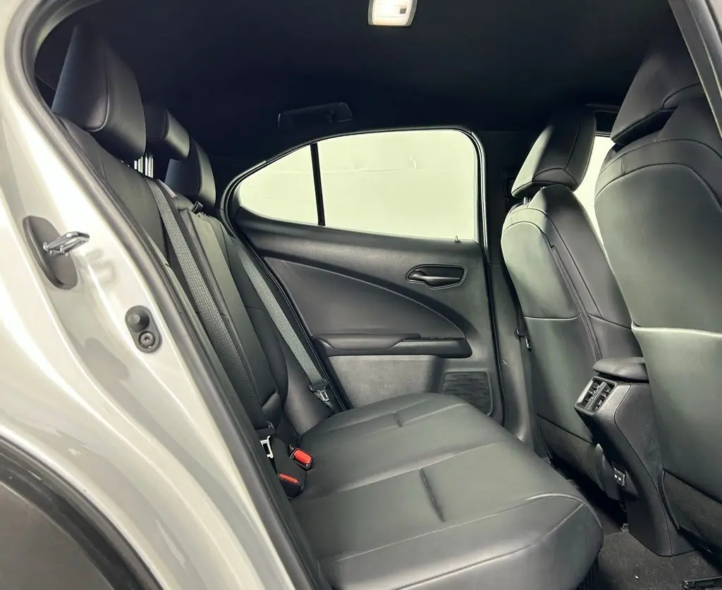 2021 Lexus UX 250h photo 13