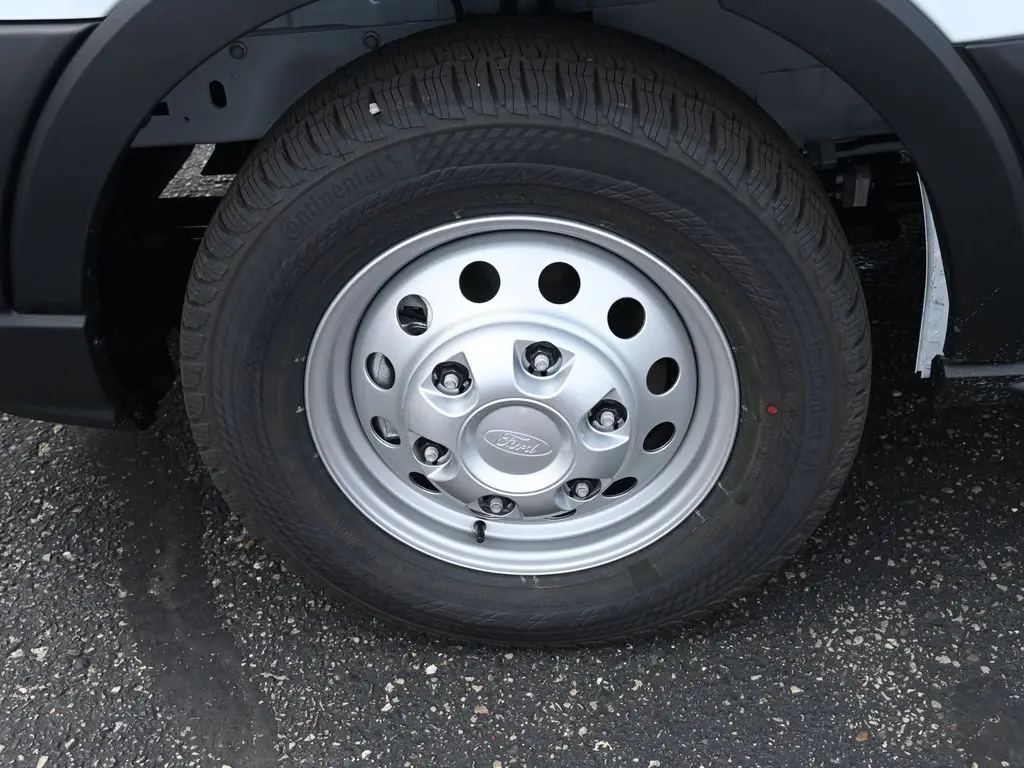 image-19