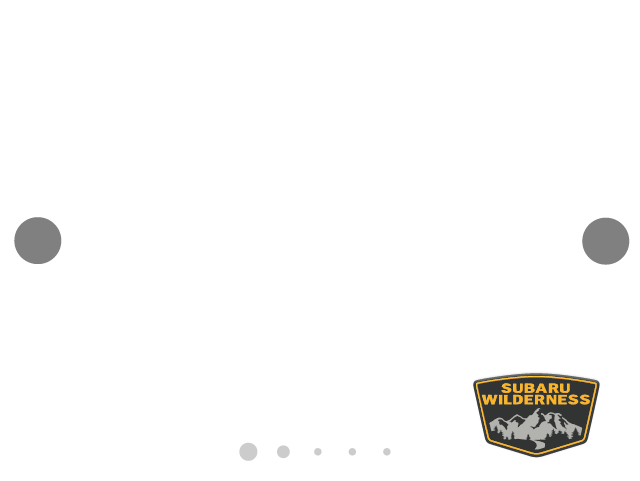 image-overlay