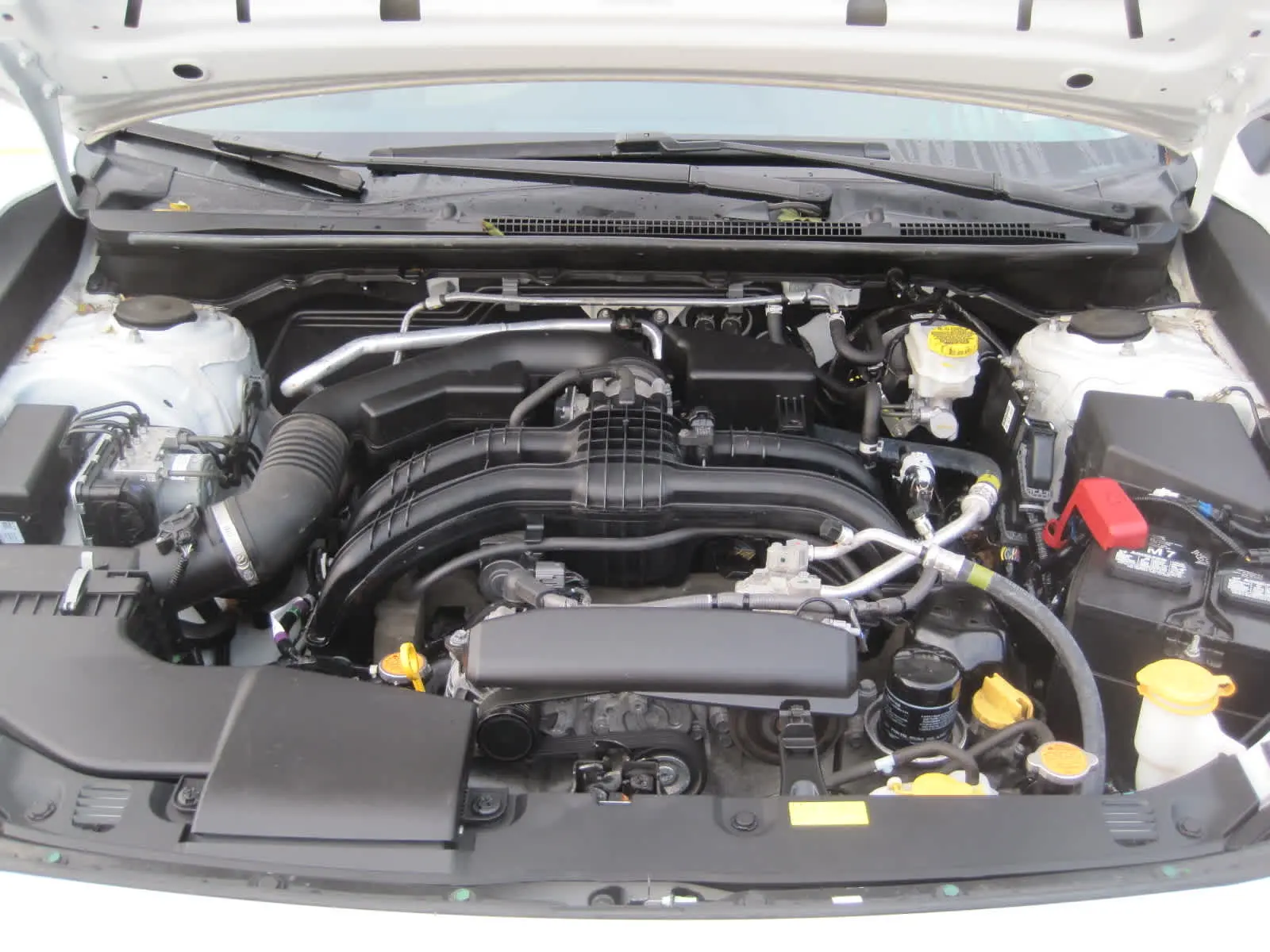 image-6