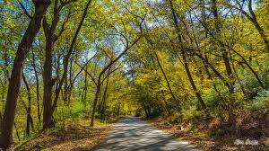 Ponca Hills 