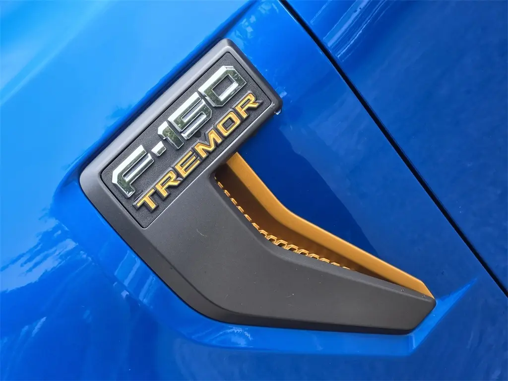 2021 Ford F-150 photo 11