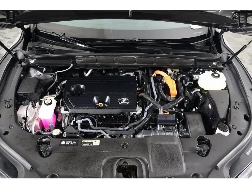 image-14
