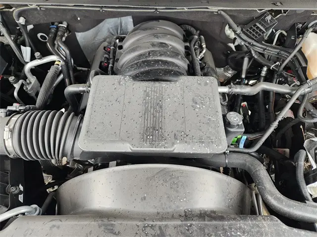 image-19