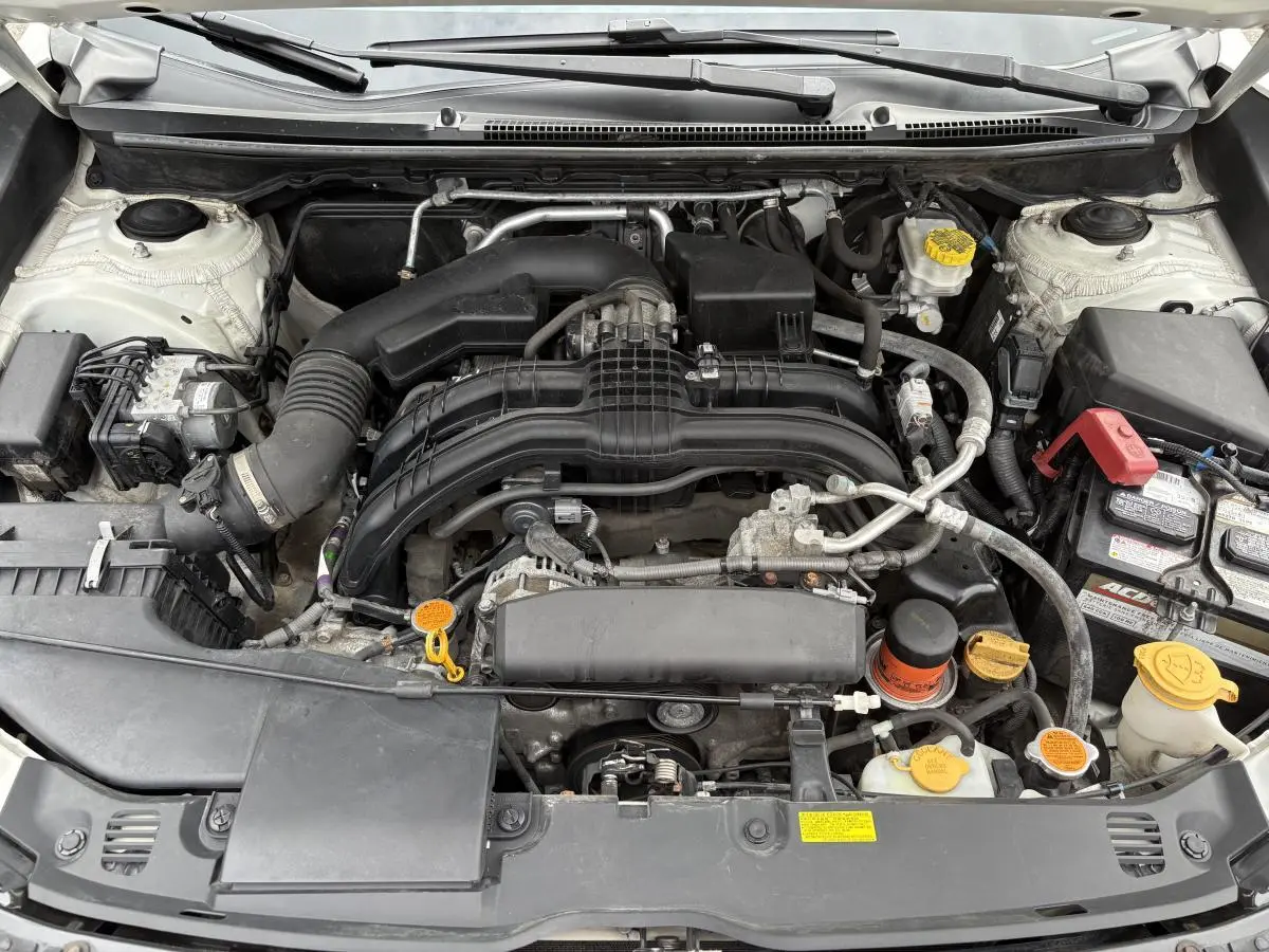 image-16