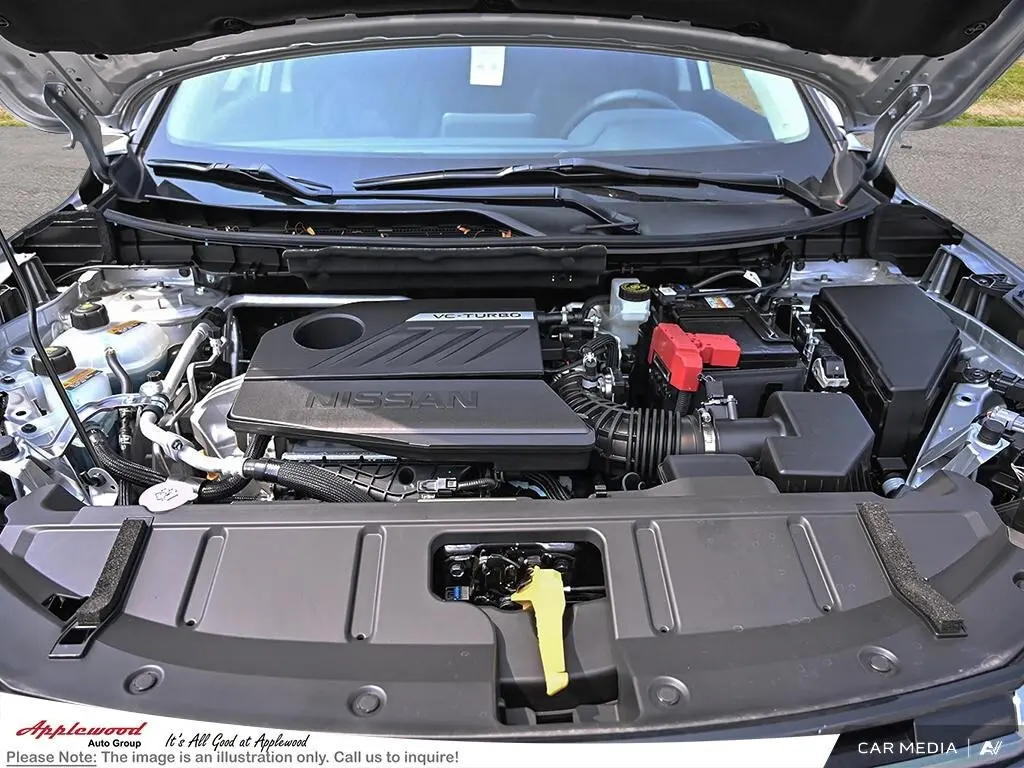 image-7