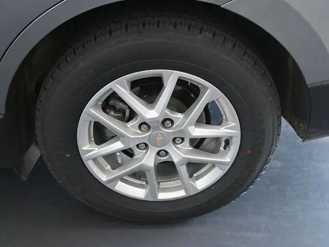 image-11