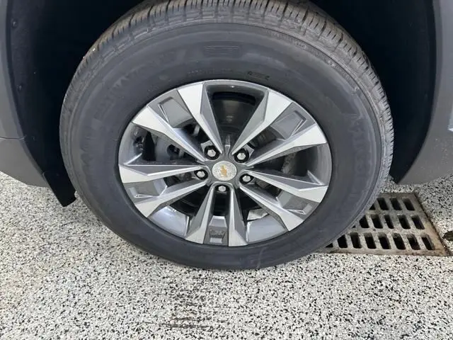 image-19