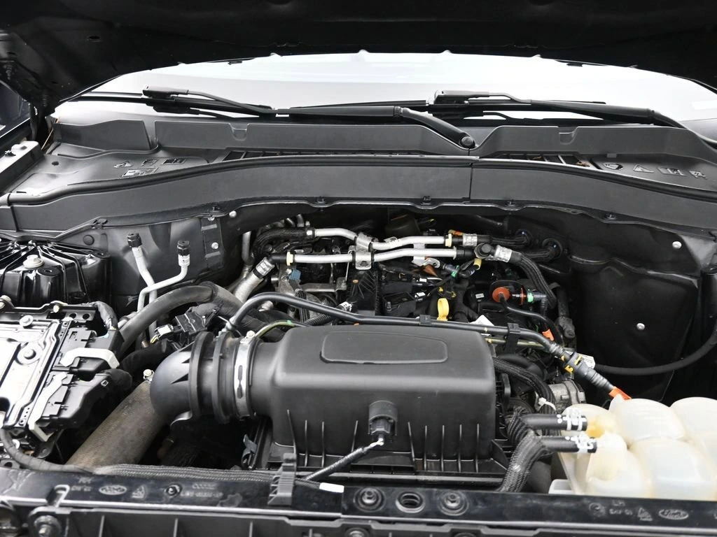 image-19