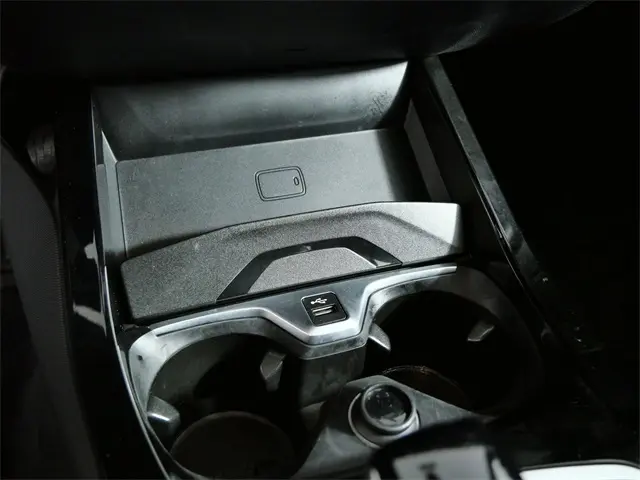 image-19