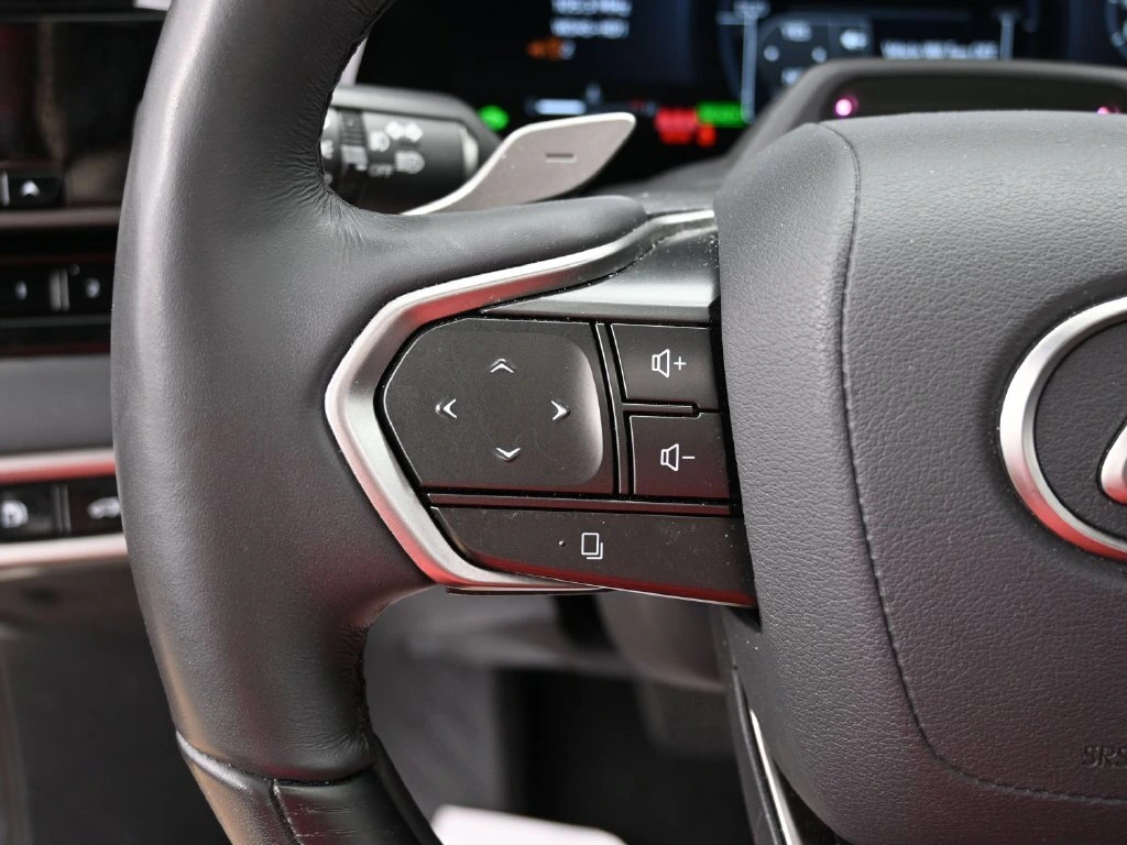 2025 Lexus RX Hybrid 350h - Photo 14