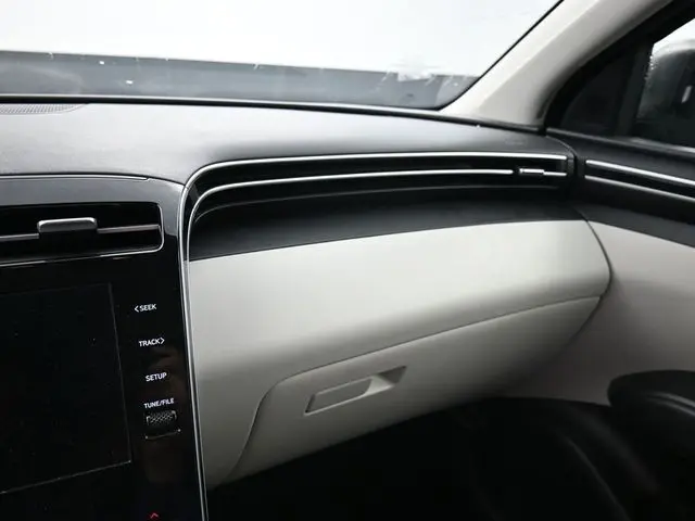 image-19