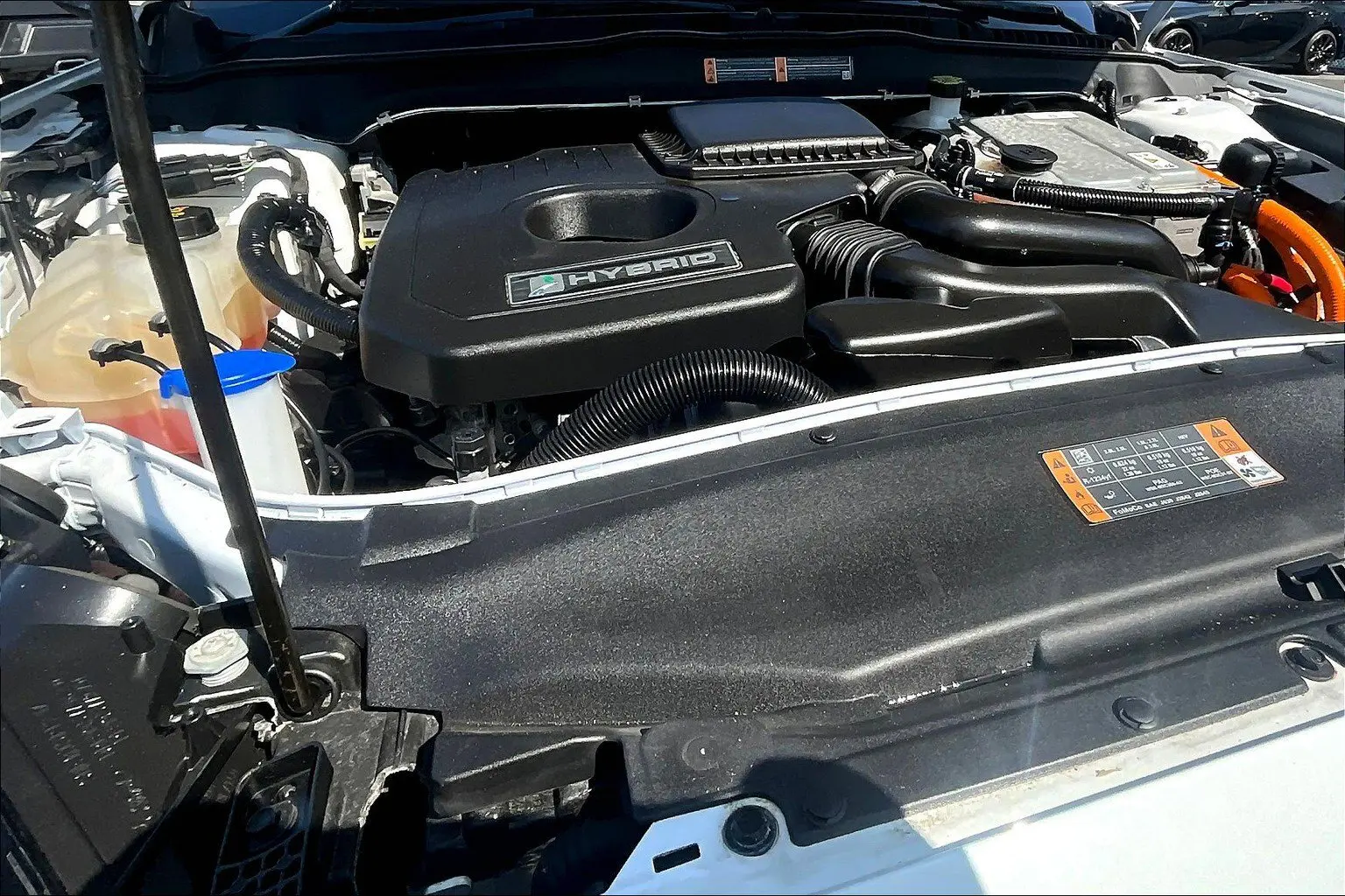 image-8