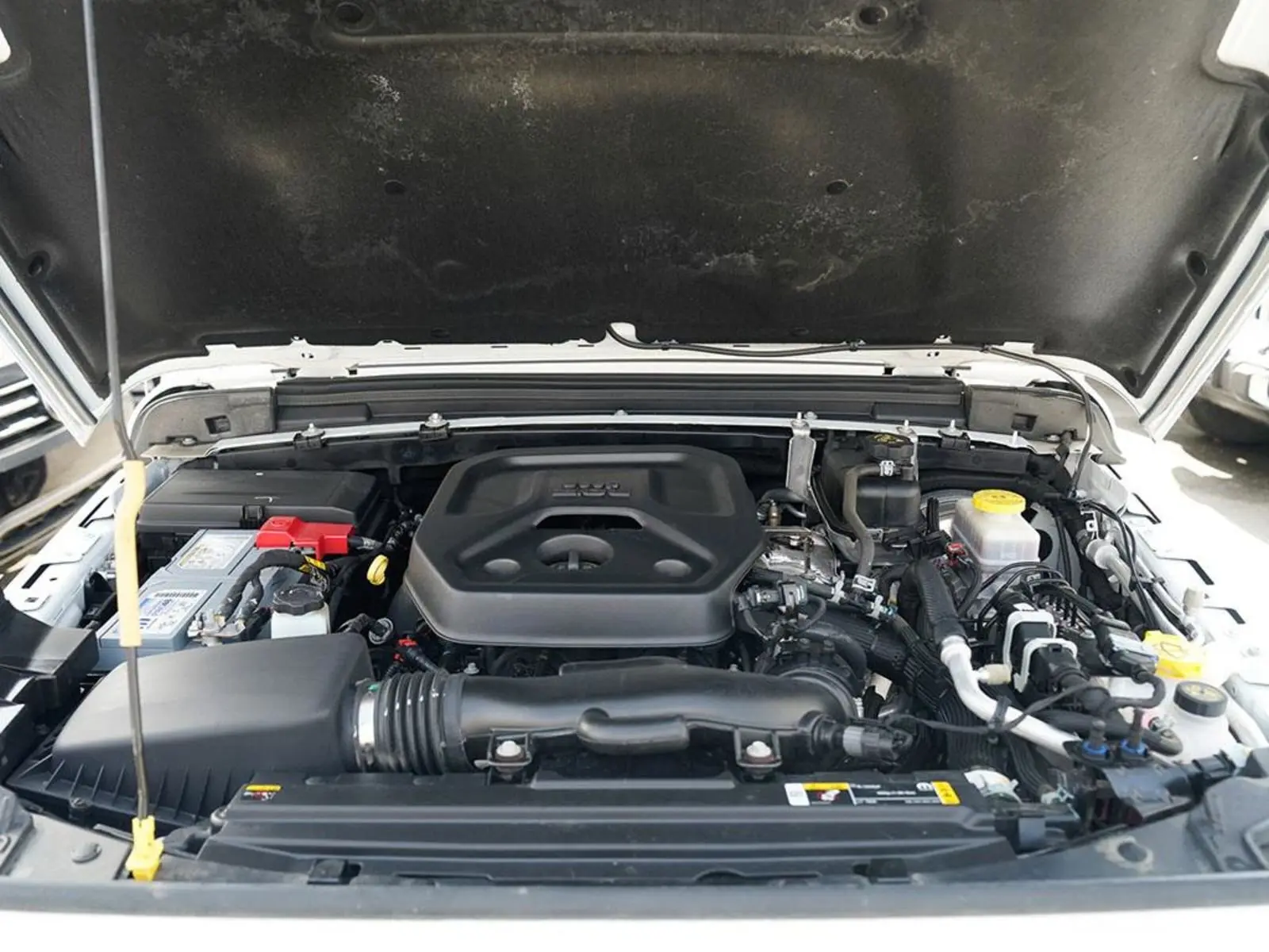 image-7