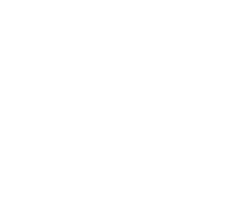 Chat Icon