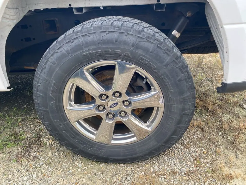 image-12