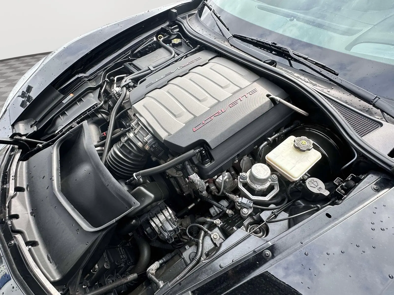 image-7