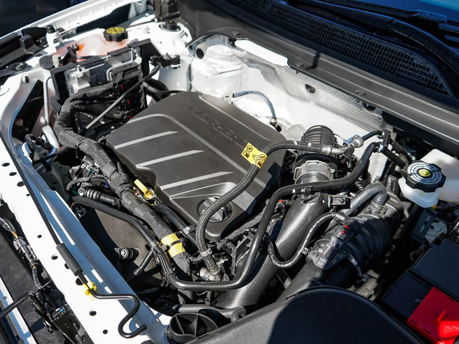 image-5