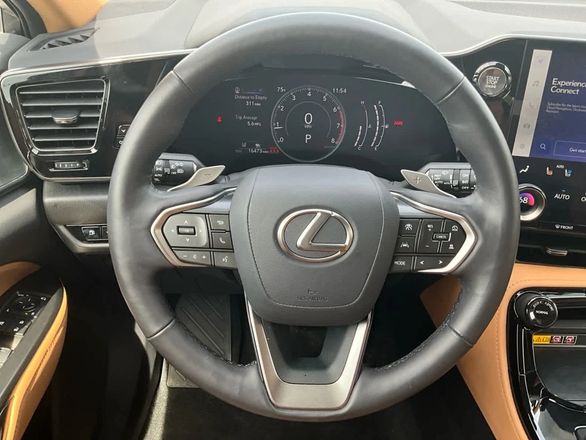 image-11