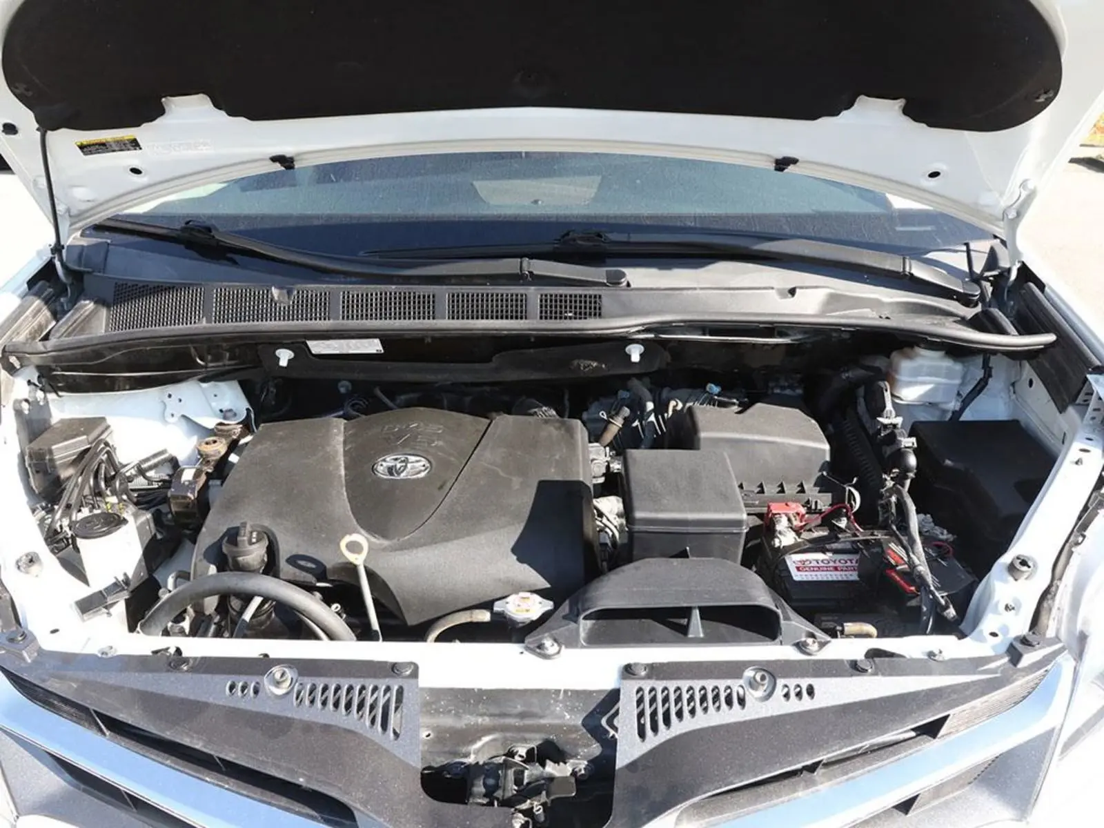 image-7