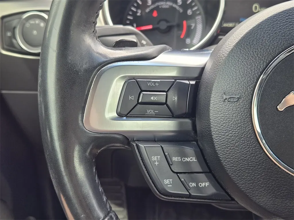 2019 Ford Mustang EcoBoost Premium photo 24