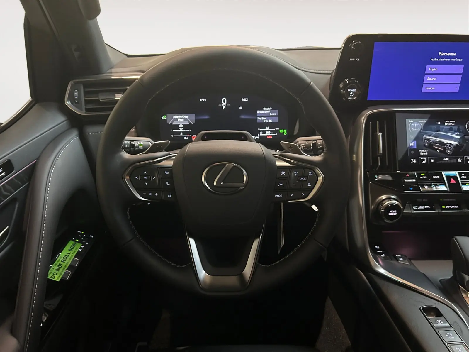 2025 Lexus LX photo 11