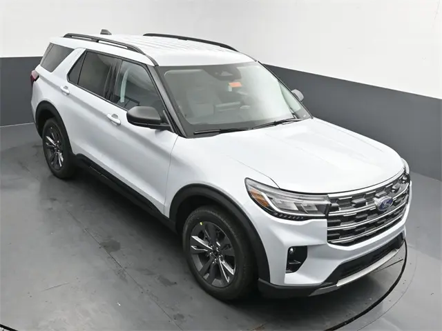 image-19